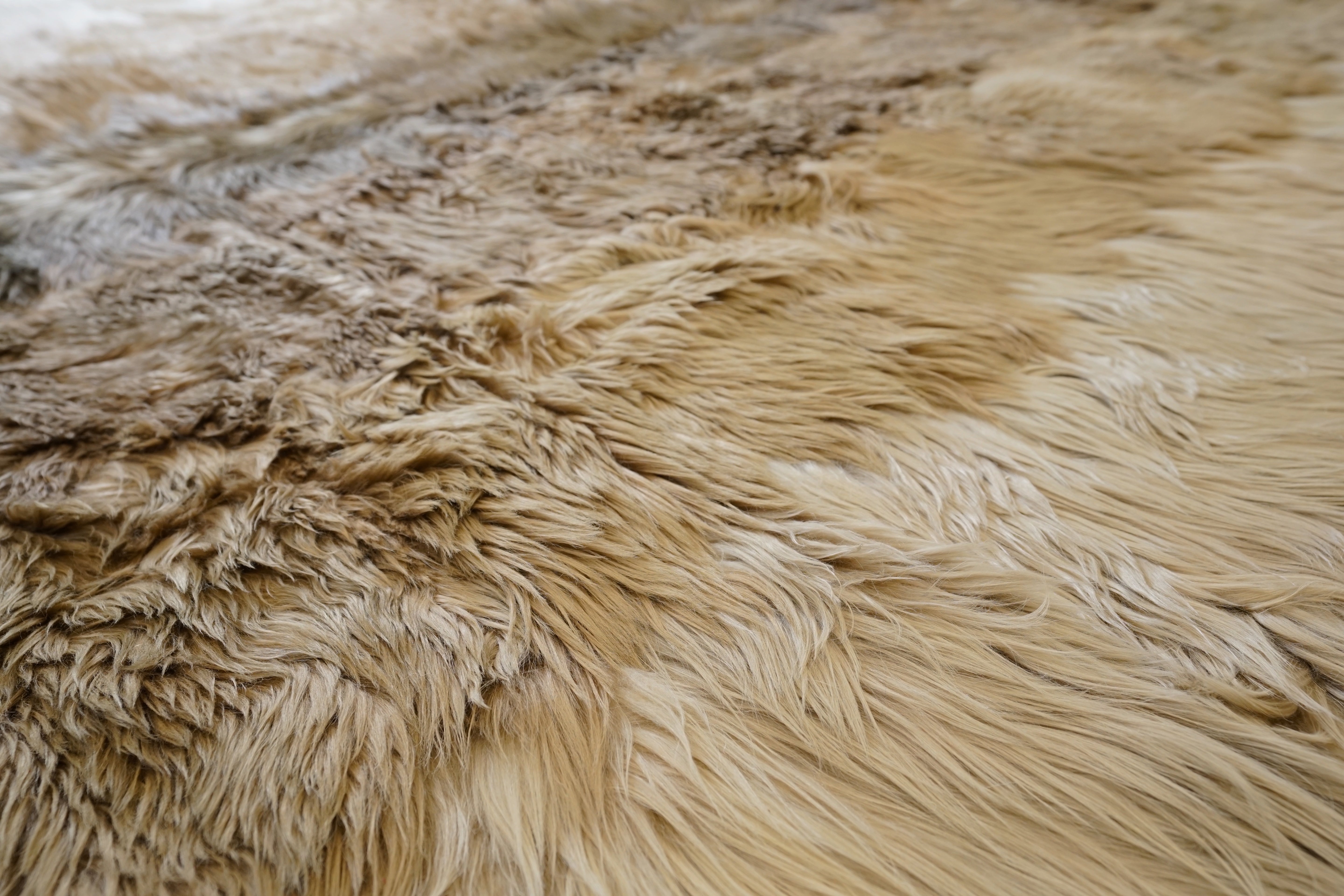 Mirrors - Modern Rugs LA