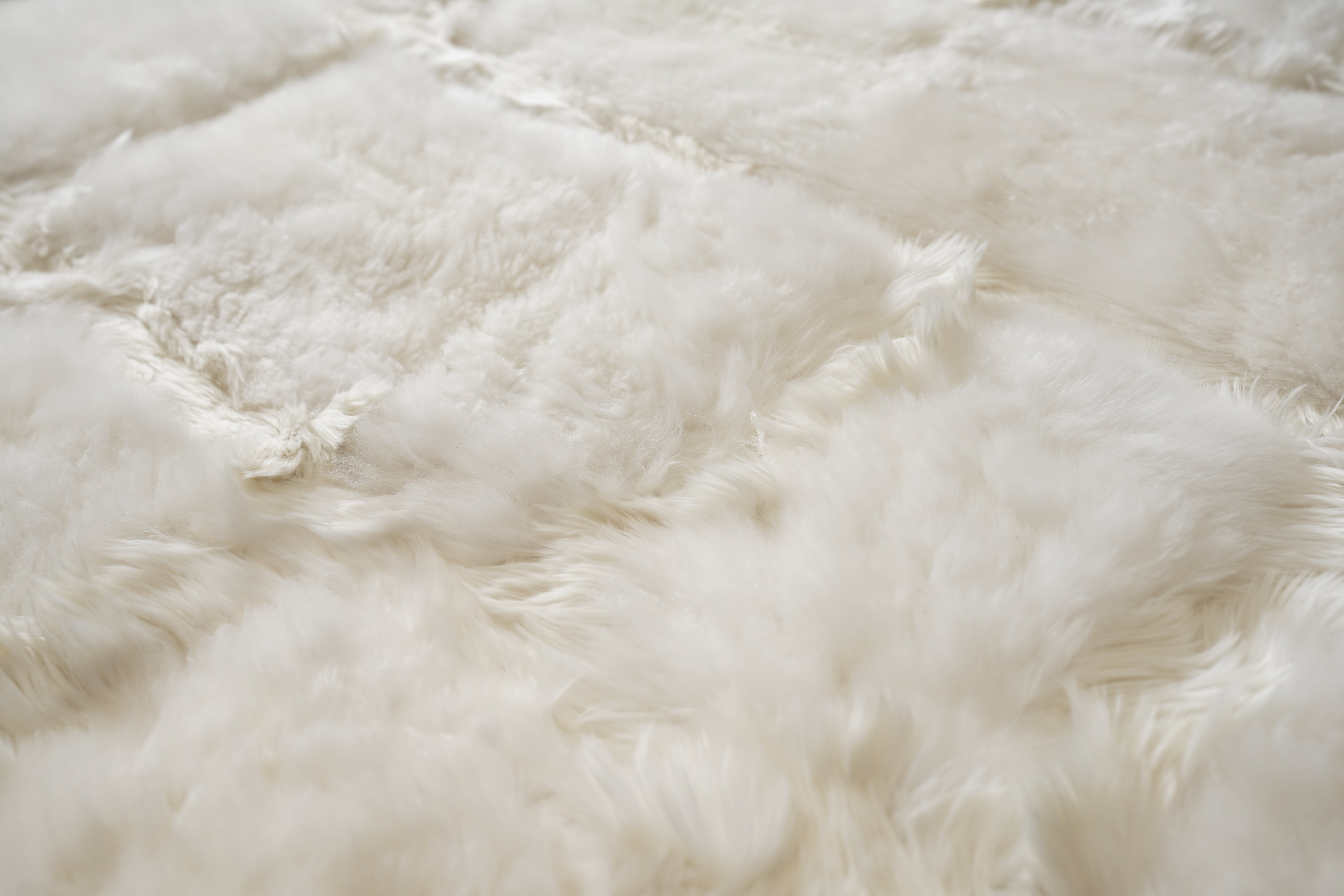 Alpaca Fur - Cobblestone White - Modern Rugs LA