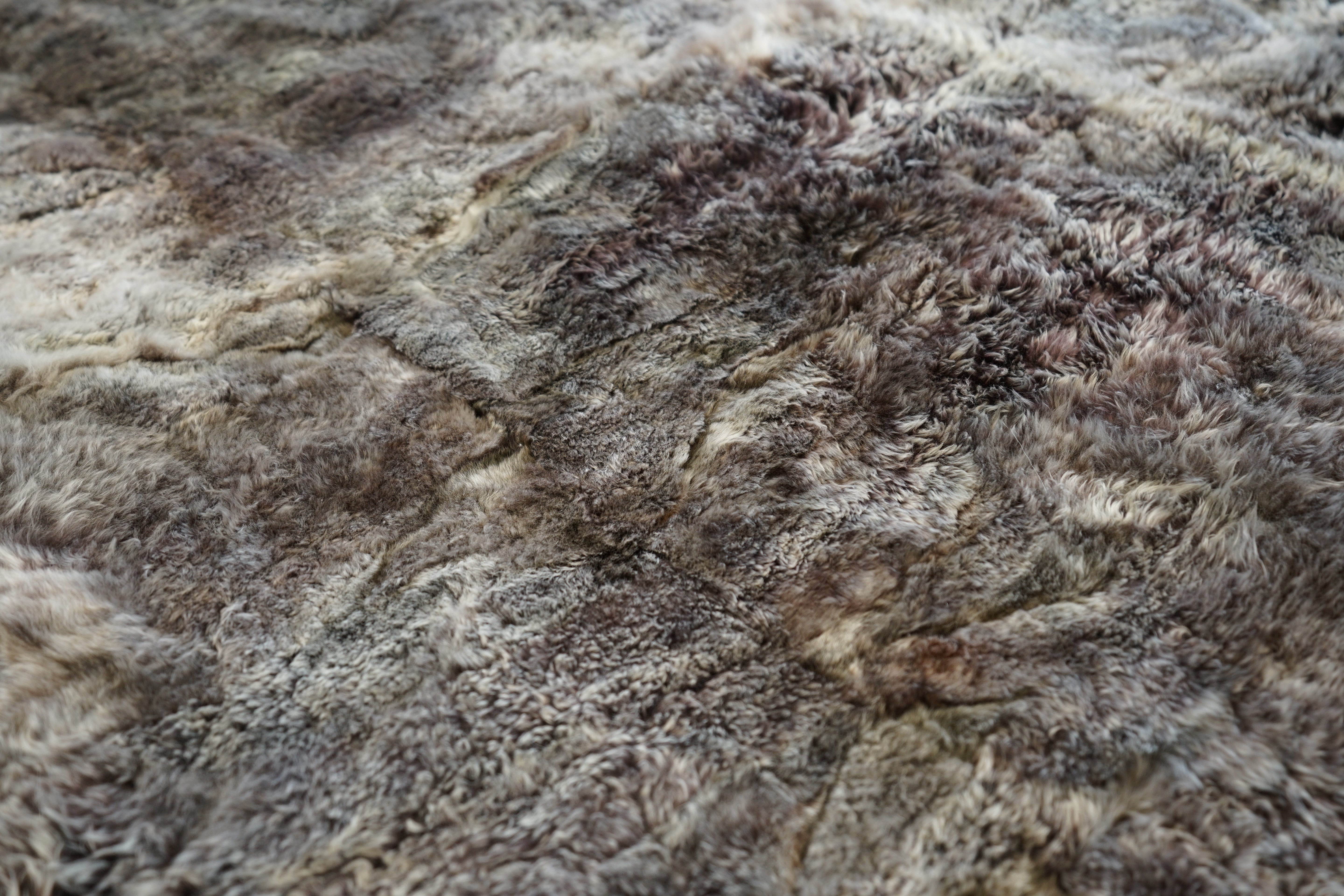 Alpaca Snowtop