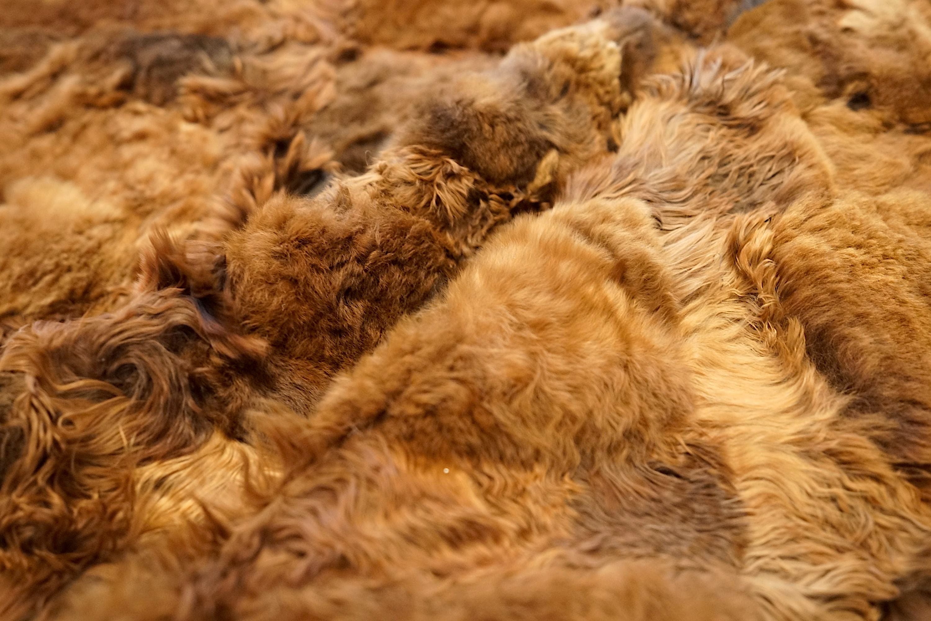 Alpaca Fur - Cobblestone - Modern Rugs LA