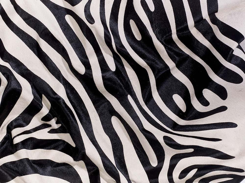 Brazilian Stenciled Zebra Cowhide - Modern Rugs LA