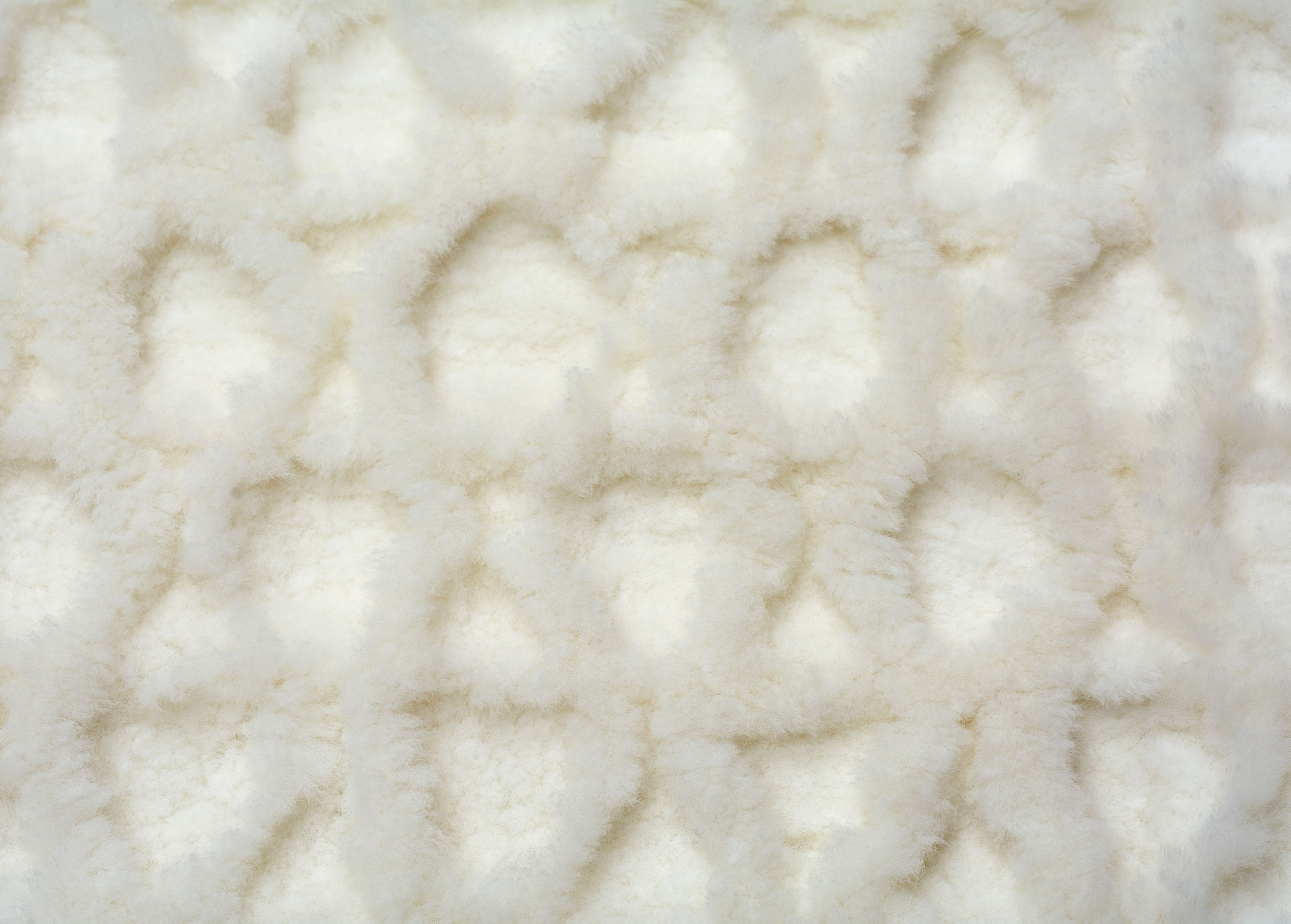 Patagonian Sheepskin Matelasse in Natural White - Modern Rugs LA